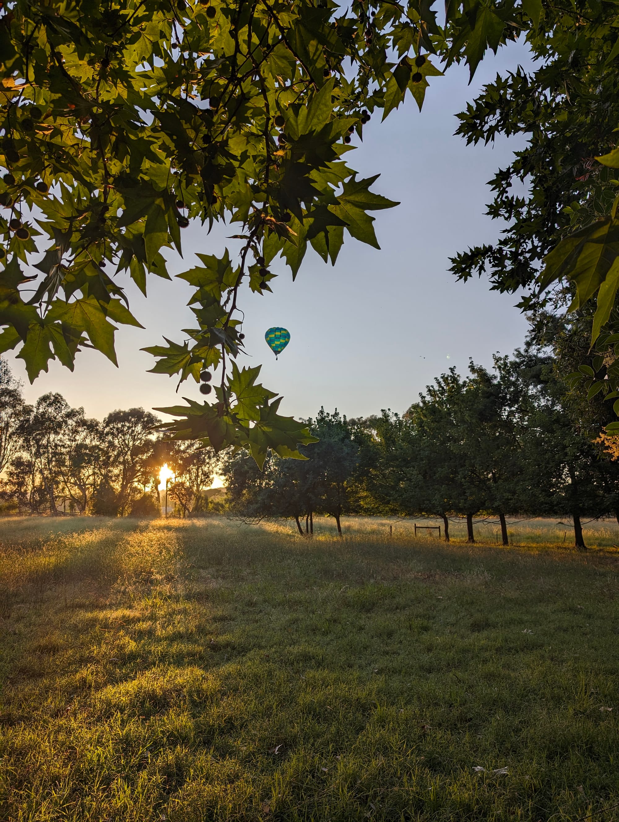 Moyhu Caravan Park and Camp Grounds